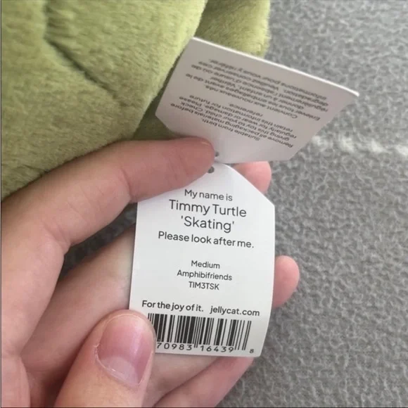 Timmy Turtle Skating - Picture 2 of 3